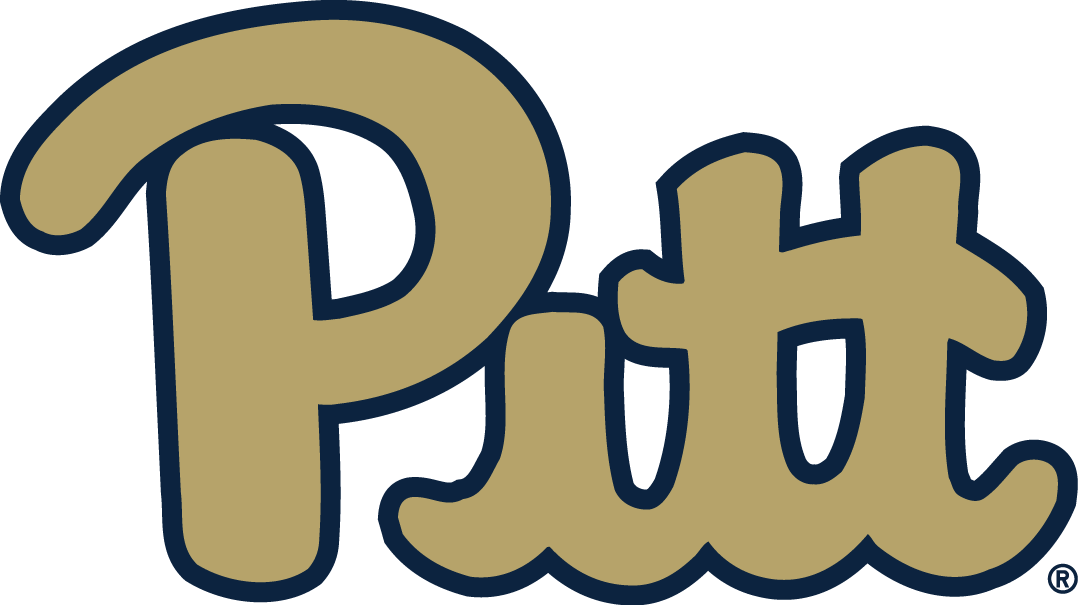 Pittsburgh Panthers 2016-2018 Alternate Logo t shirts iron on transfers